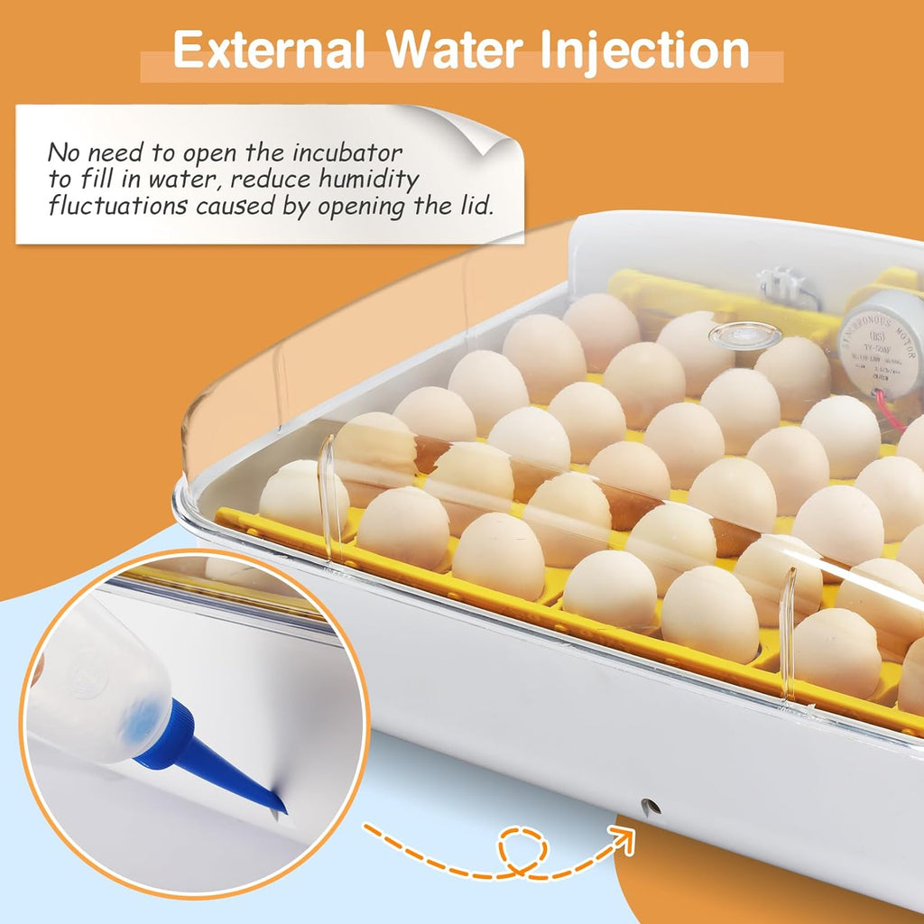 Automatic Egg Incubator with Humidity Control for Chickens F4891