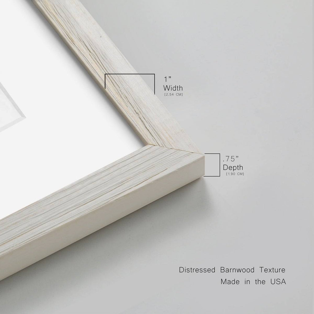 Pressed Botanical Framed Print - 27.5X37.5 - Grey Z32411