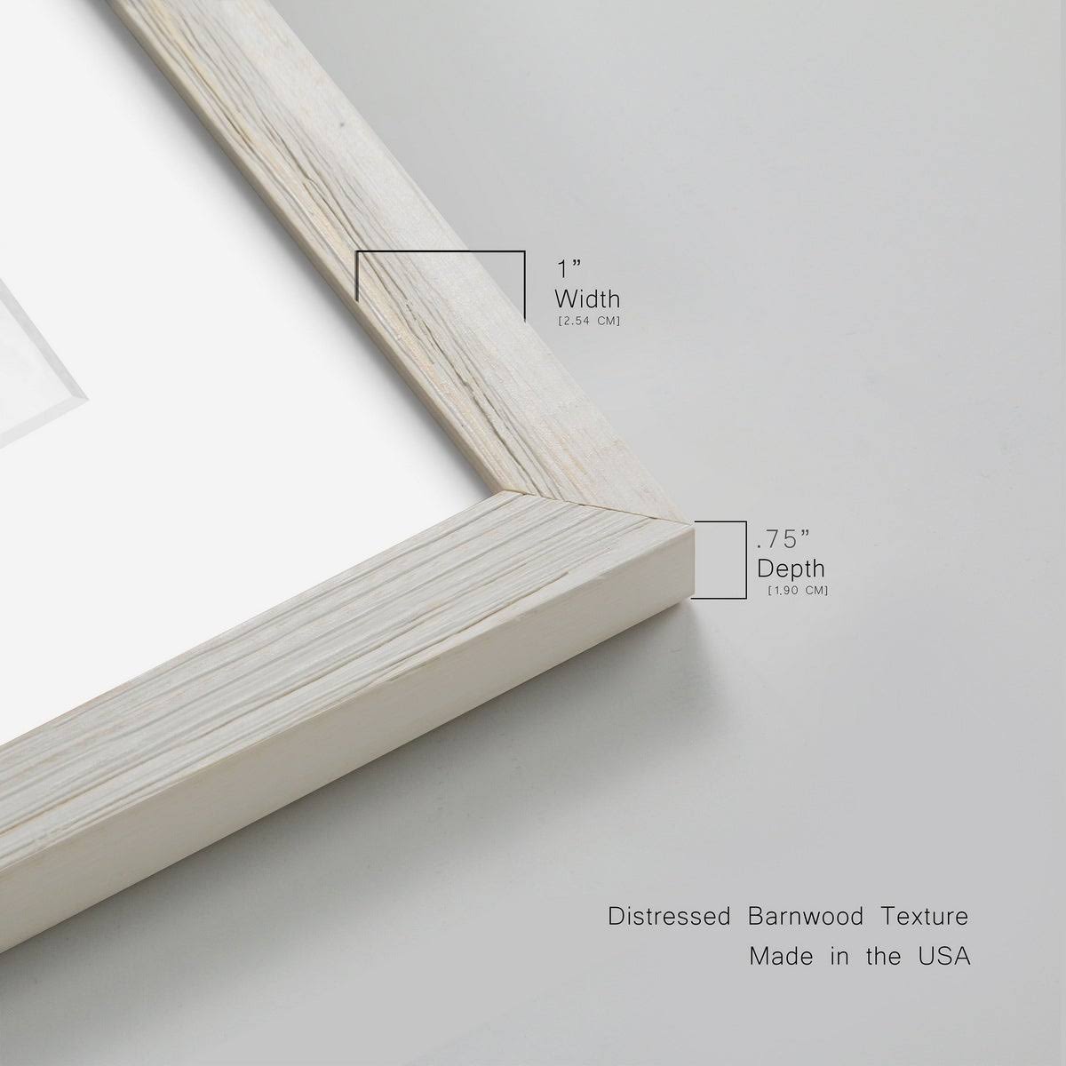 Pressed Botanical Framed Print - 27.5X37.5 - Grey Z32411