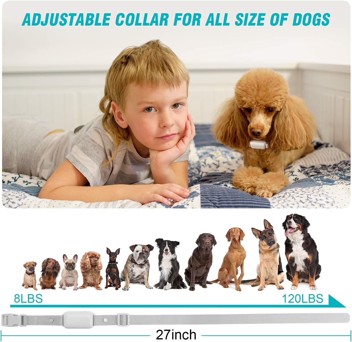 Waterproof Rechargeable Electric Training Collar with Remote, Pack of 2 J158