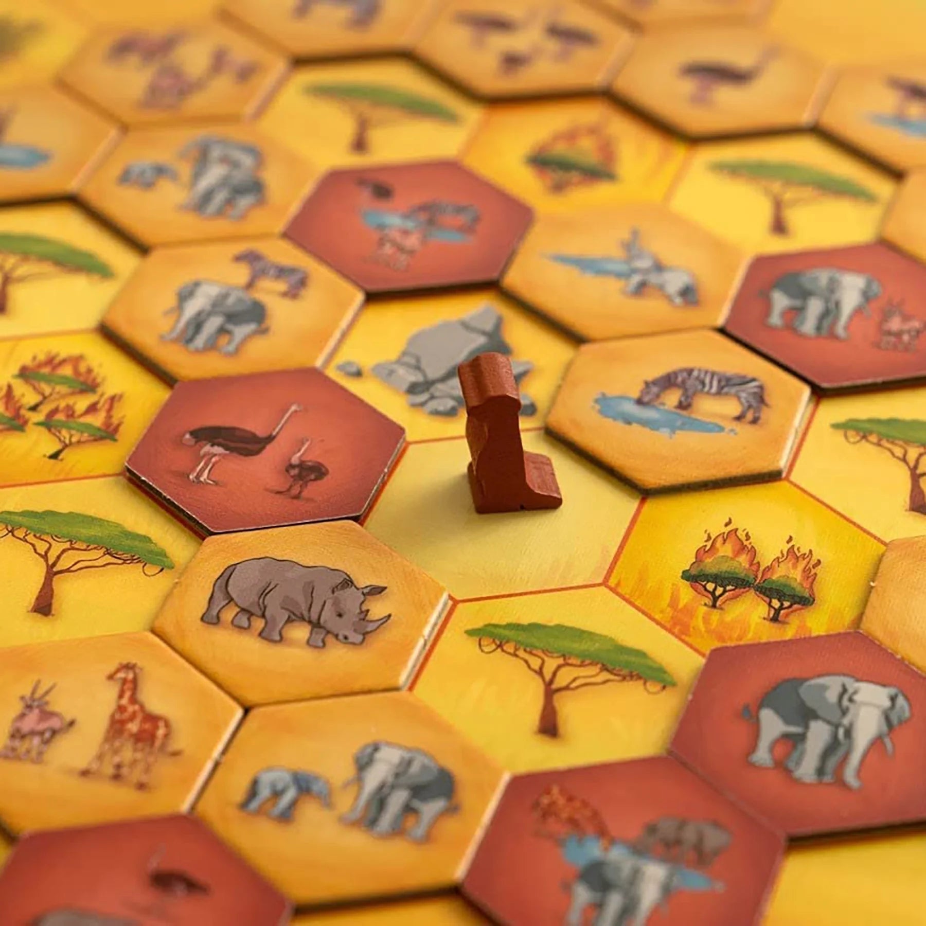 Savannah Park Family Strategy Board Game N423