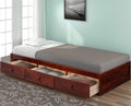 Twin Platform Bed with 3 Drawers (Espresso) H662987