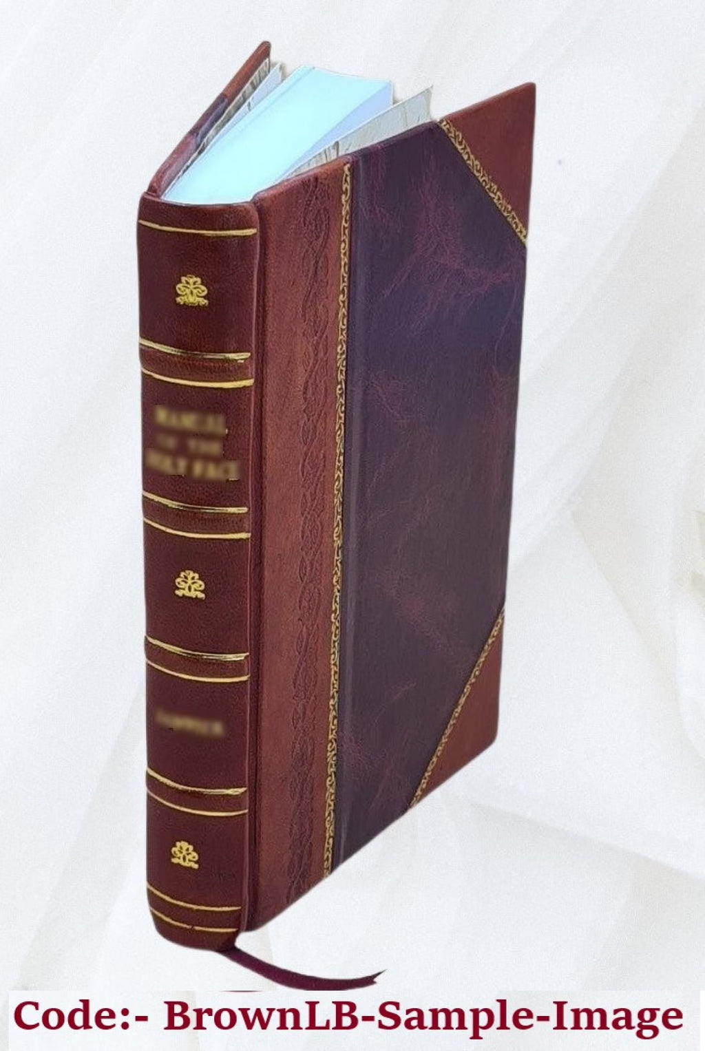 Environmental Impact Statement J9560