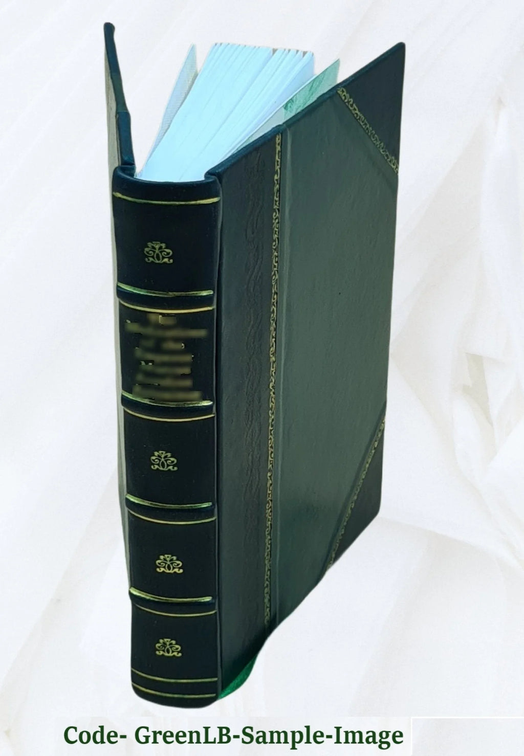Renaissance et Réforme : Érasme ; Thomas Morus ; Melanchthon / par D. Nisard,... 1877 [Leather Bound] D7560