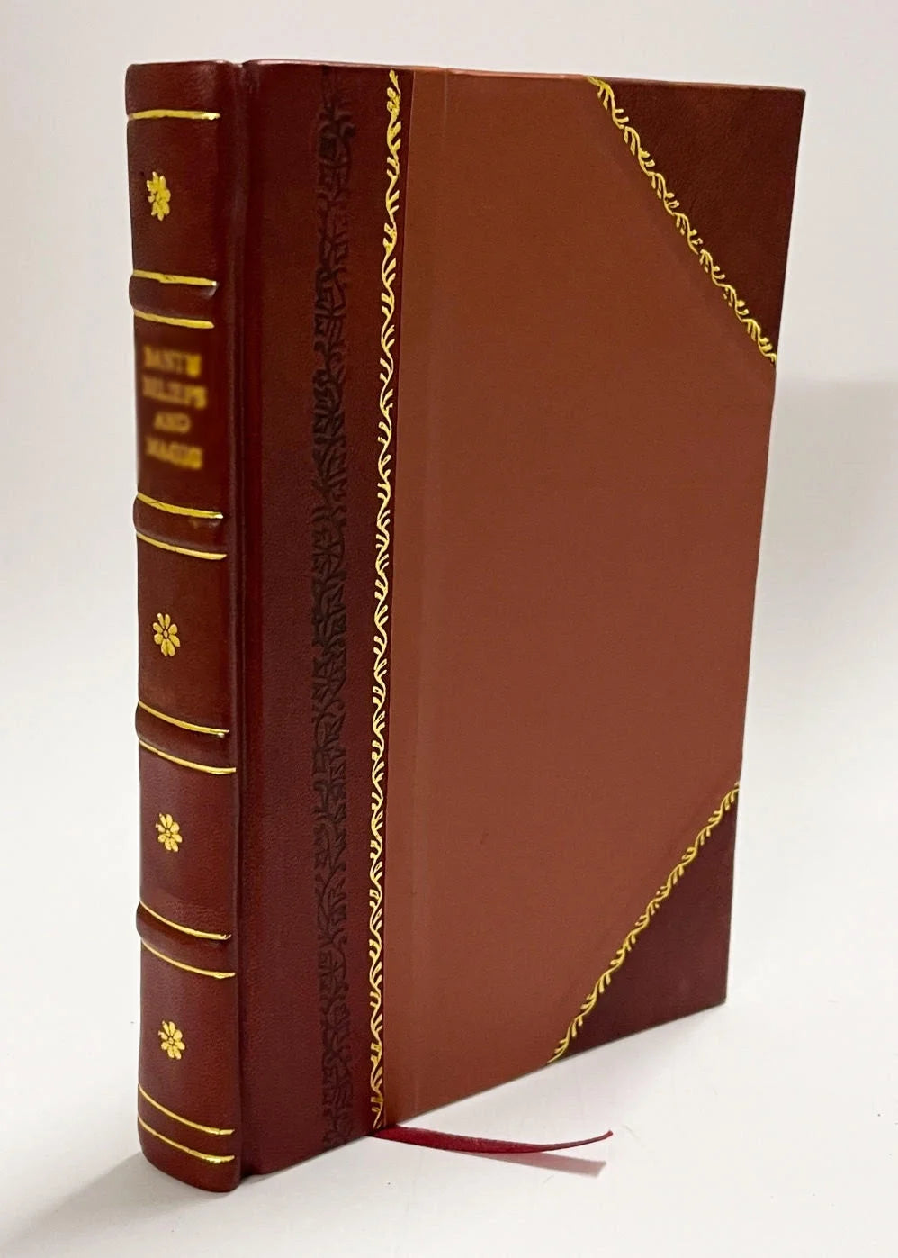 Leather Bound Novel W895102