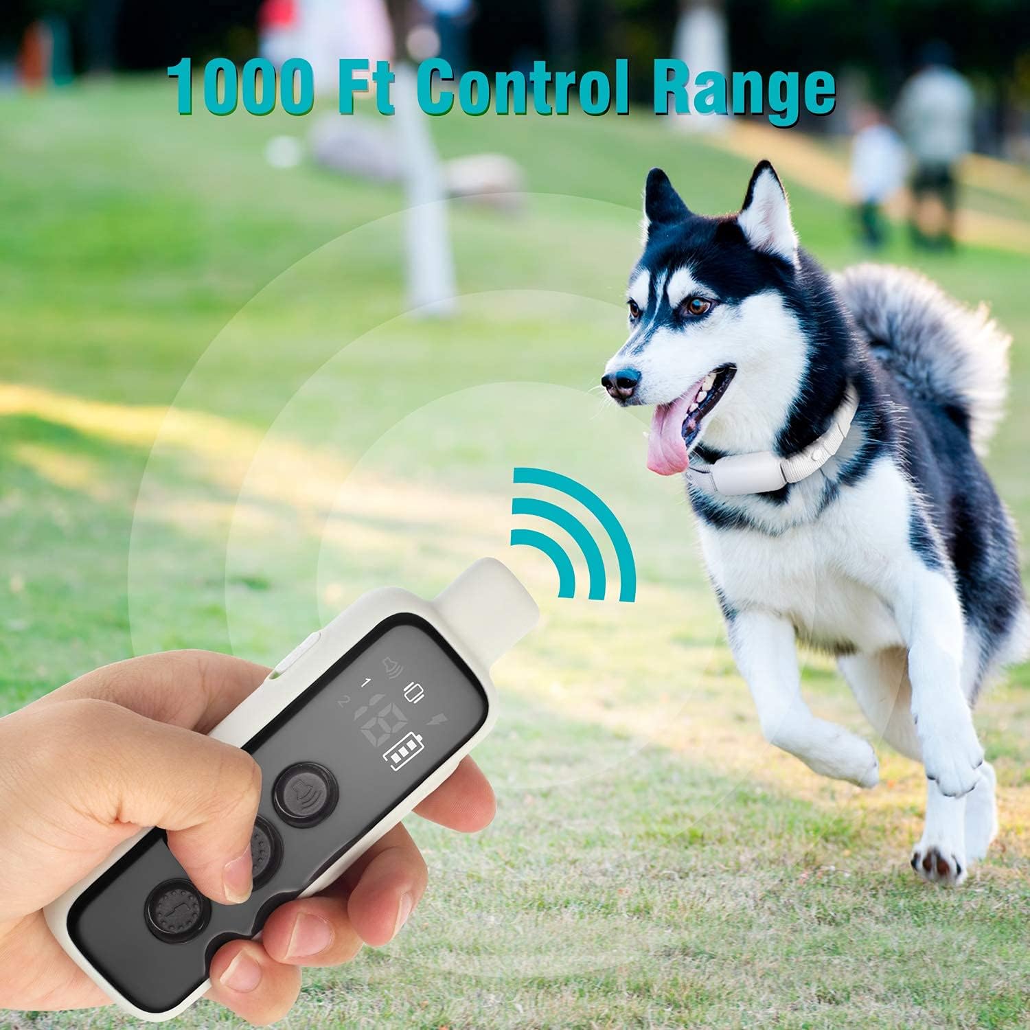 Waterproof Rechargeable Electric Training Collar with Remote, Pack of 2 J158