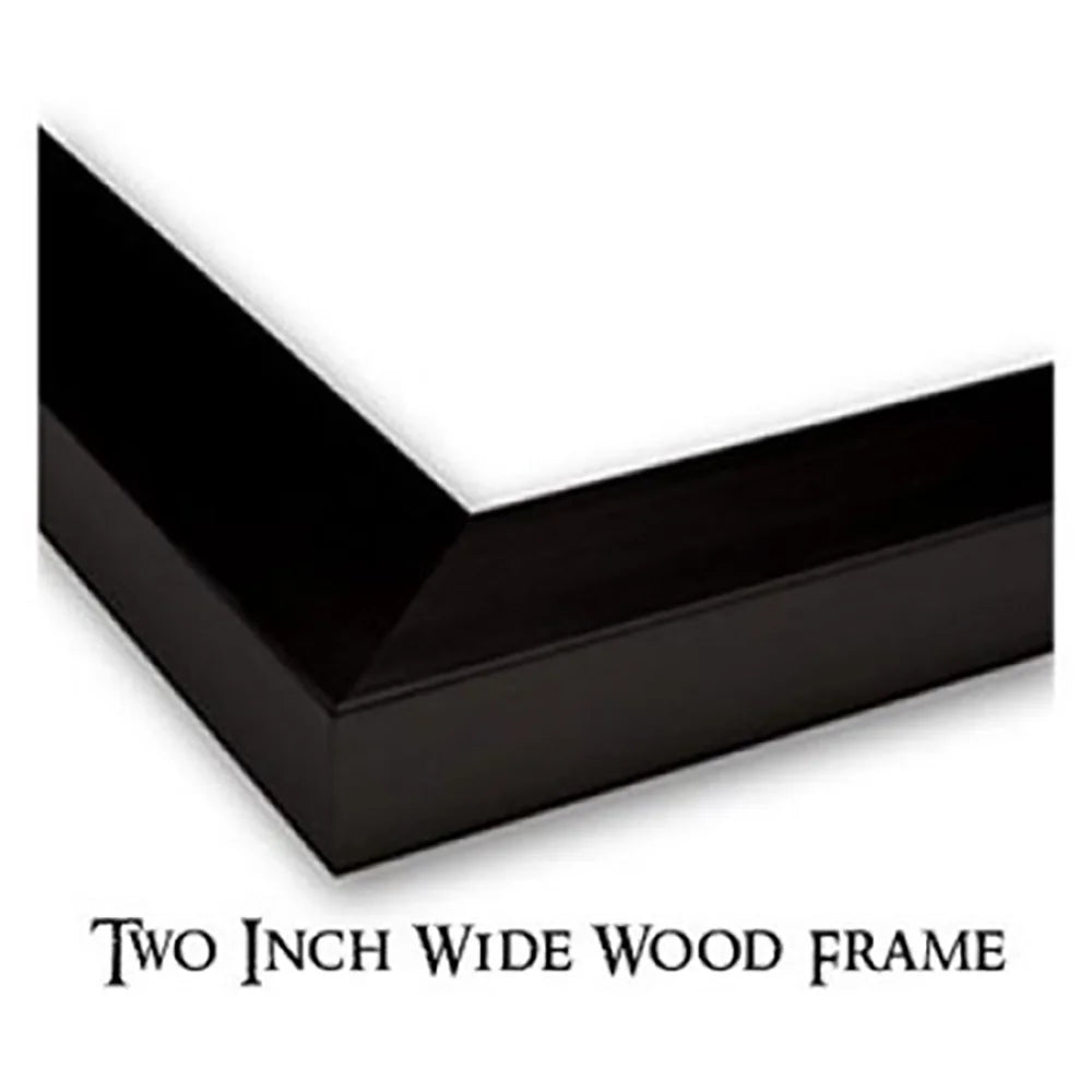 Black Modern Framed Museum Art Print R5355