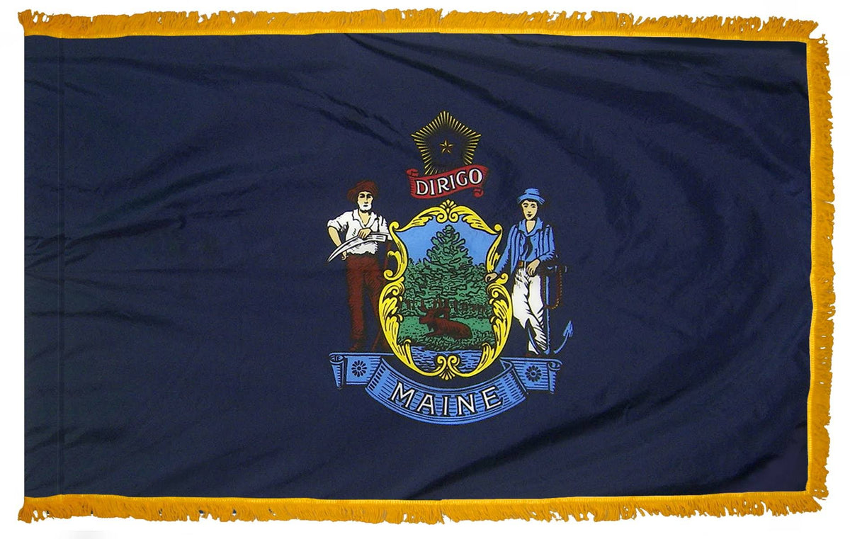 4ft. x 6ft. Fringed Flag with Side Pole Sleeve V849530