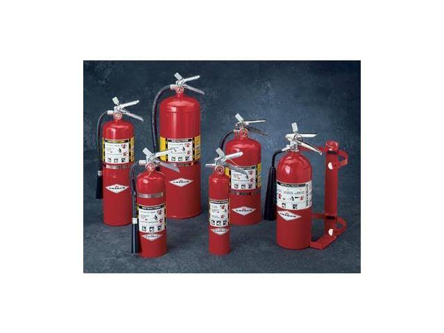 5lb ABC Dry Chemical Extinguisher S809481