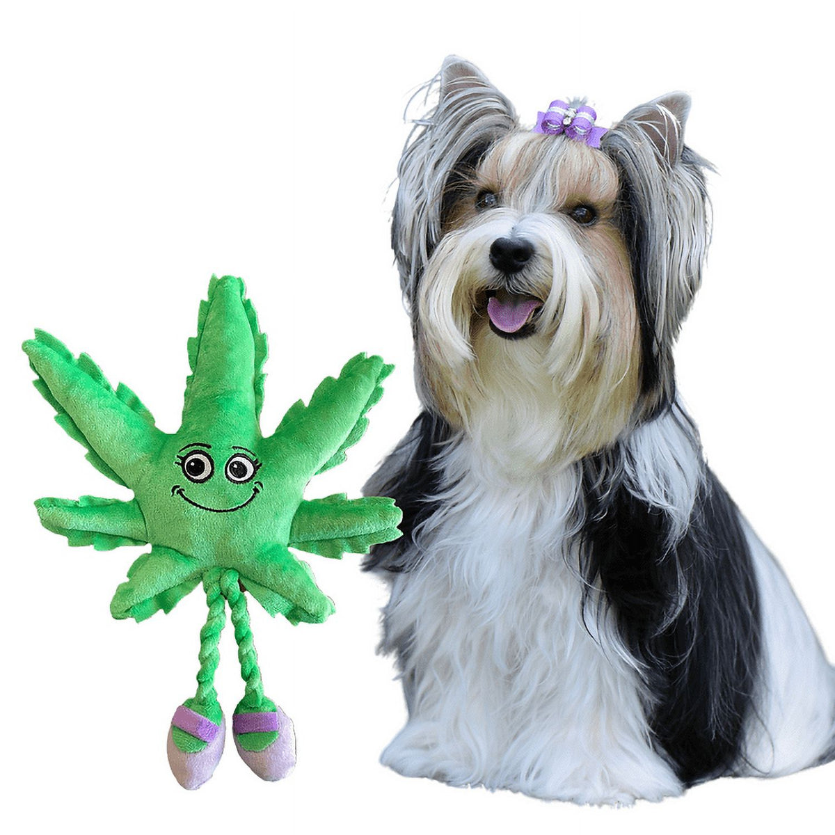 Plush Squeaky Dog Toy U765