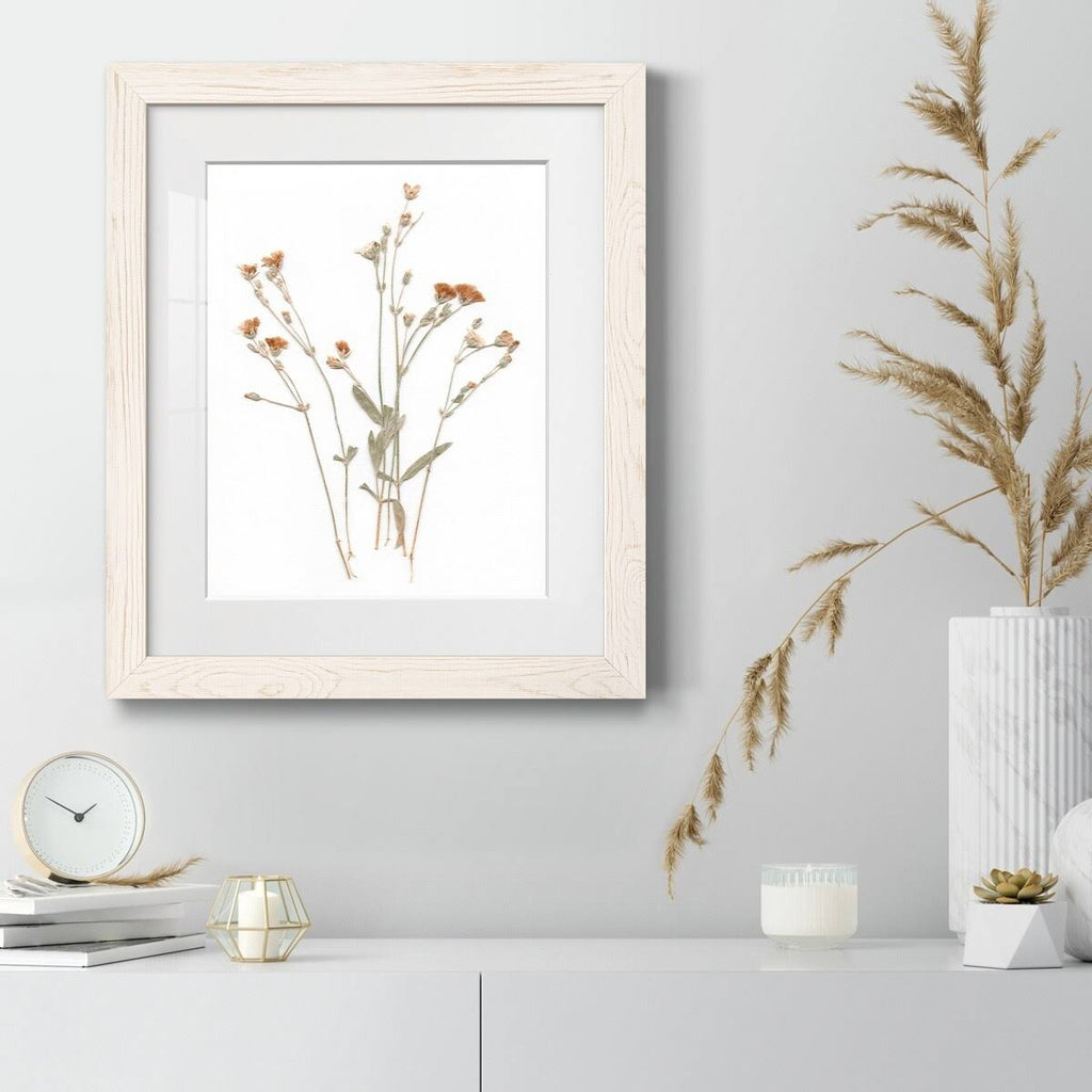 Pressed Botanical Framed Print - 27.5X37.5 - Grey Z32411