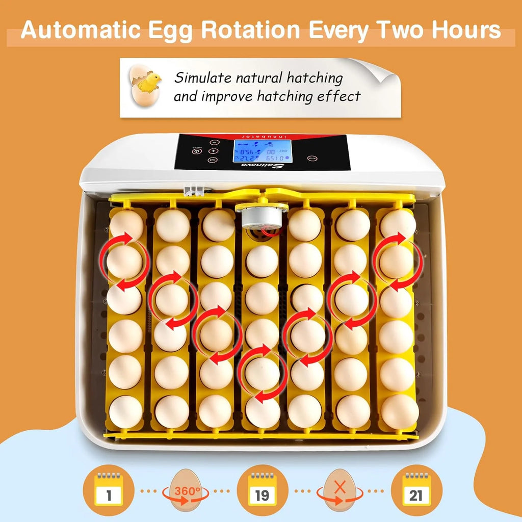 Automatic Egg Incubator with Humidity Control for Chickens F4891