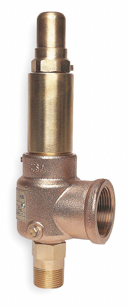 Pop Safety Valve, 1 x 1-1/2 In, 150 PSI D685
