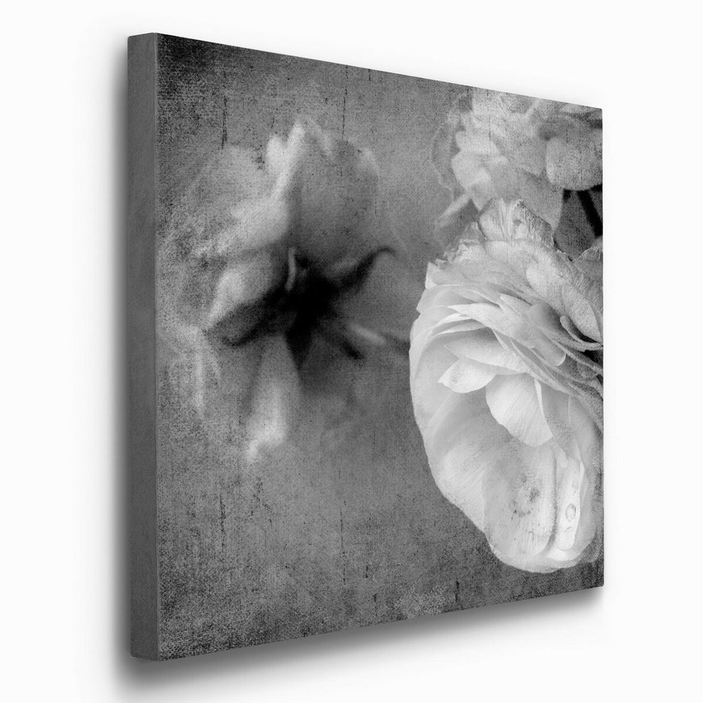 Dark Ranunculus III Gallery Wrapped Canvas 10x10 X358708