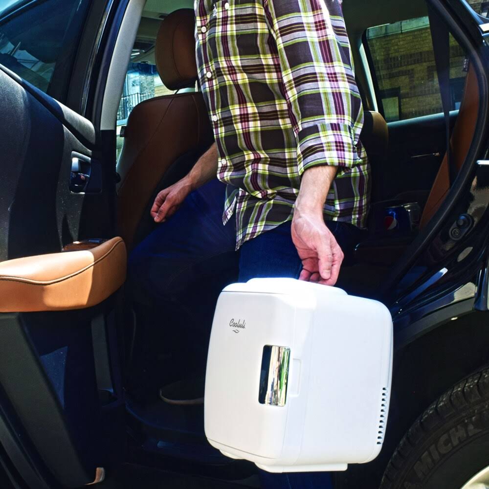 4 Liter Mini Fridge Electric Cooler Warmer G189