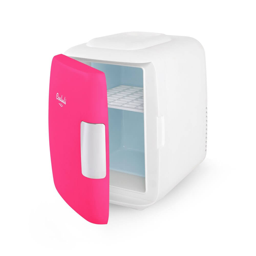 4 Liter Mini Fridge Electric Cooler Warmer G189
