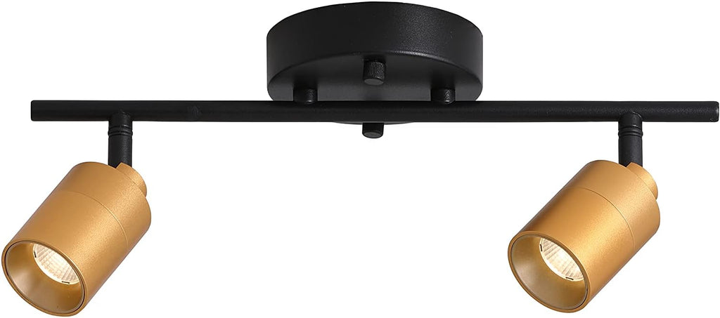 Gold LED Track Light 2 Pack R57929