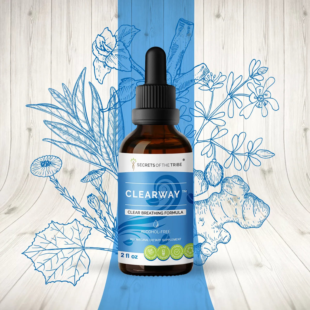 Licorice, Chaparral, Ginger, Thyme, Sage, Peppermint Glycerite Tincture 2 oz V581656