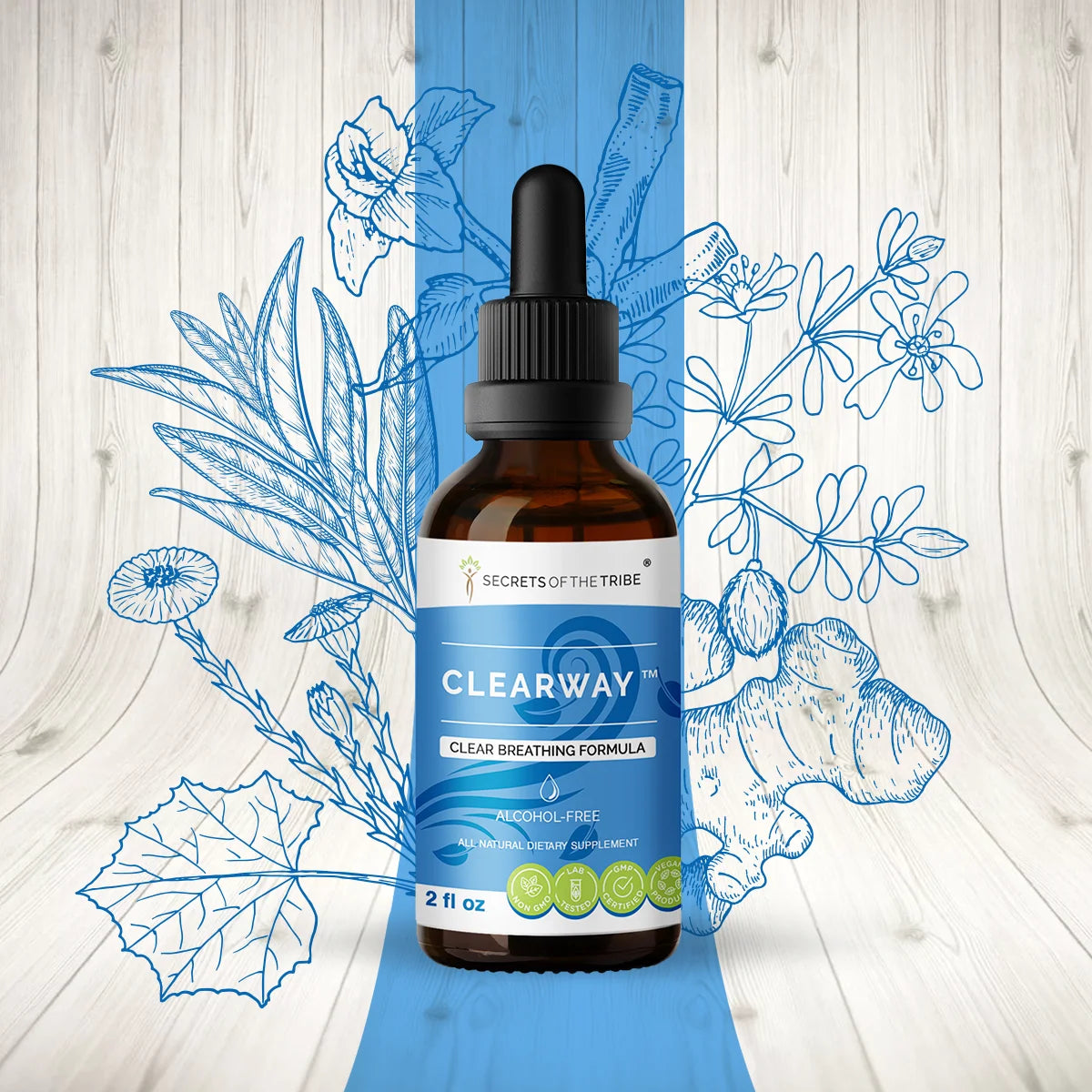 Licorice, Chaparral, Ginger, Thyme, Sage, Peppermint Glycerite Tincture 2 oz V581656