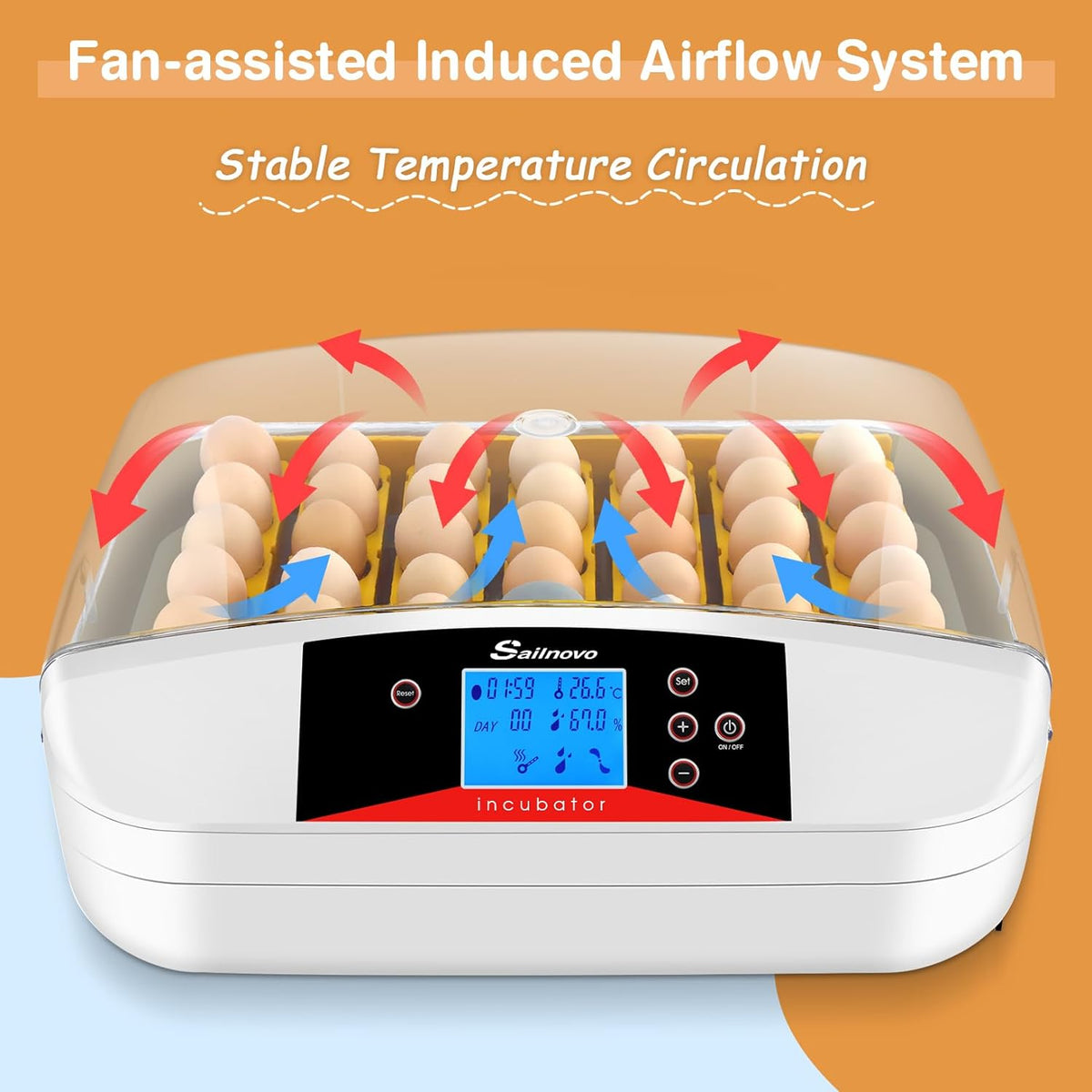 Automatic Egg Incubator with Humidity Control for Chickens F4891