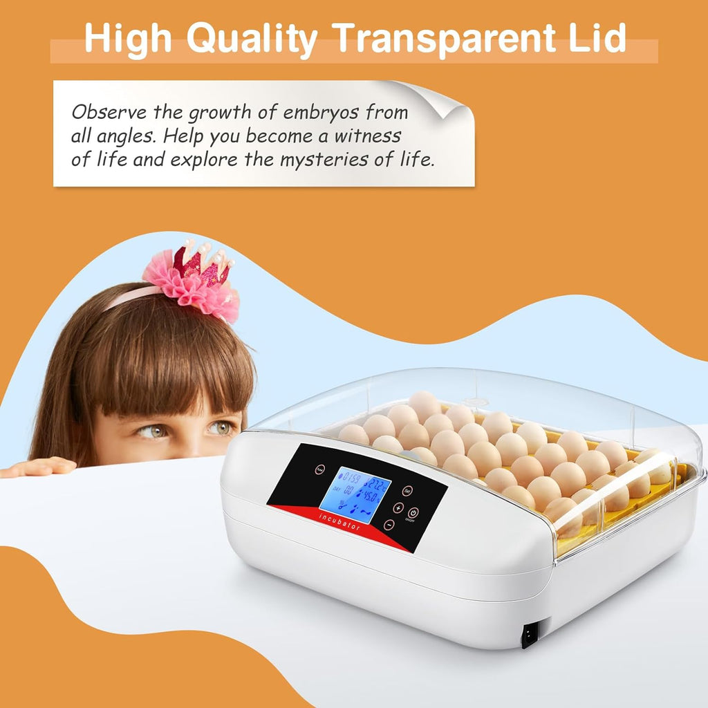Automatic Egg Incubator with Humidity Control for Chickens F4891