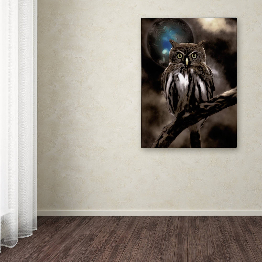 Night Owl Canvas Art I932570