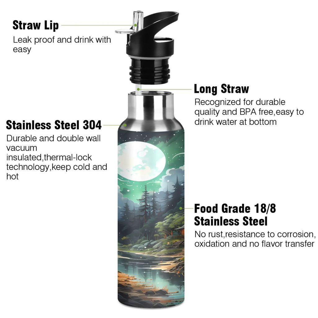 Stainless Steel Insulated Water Bottle with Straw Lid D41393