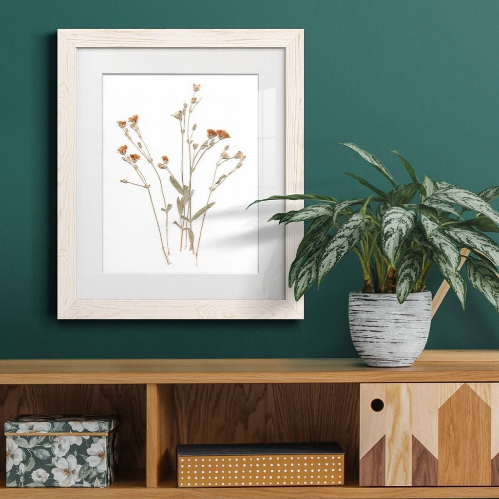Pressed Botanical Framed Print - 27.5X37.5 - Grey Z32411