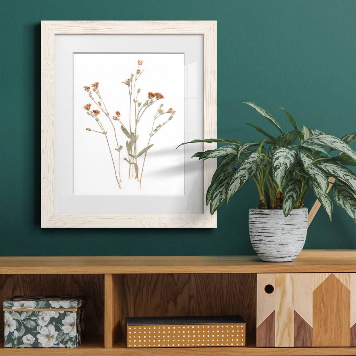 Pressed Botanical Framed Print - 27.5X37.5 - Grey Z32411