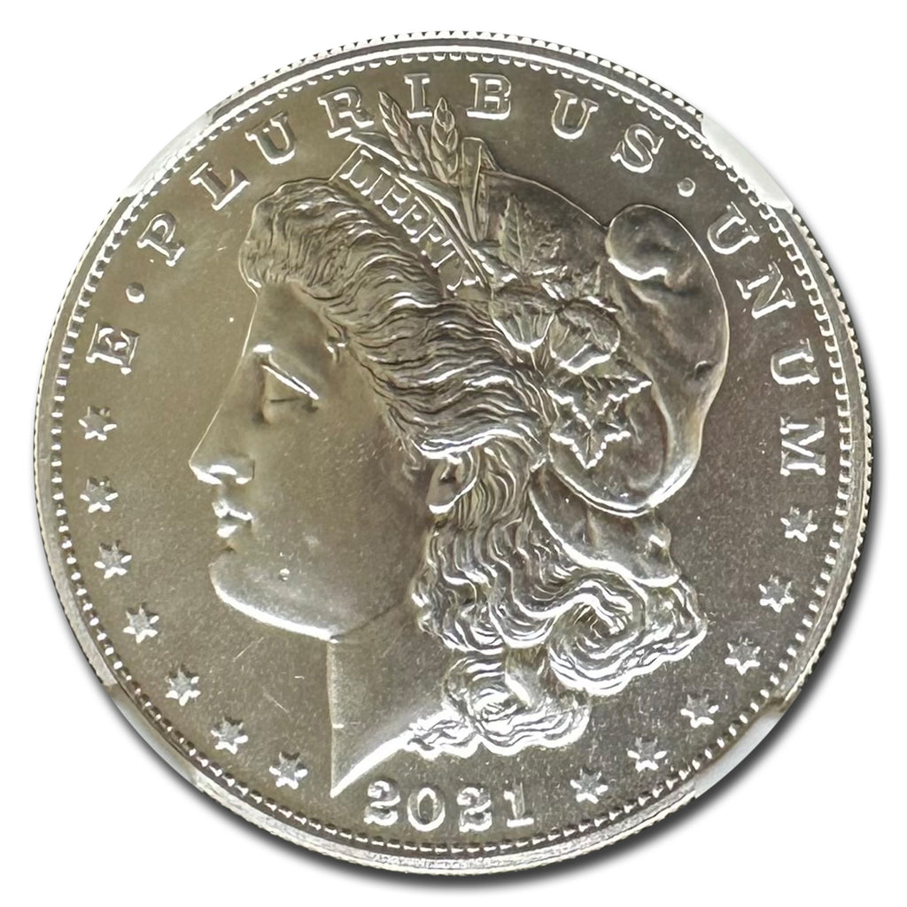 Silver Morgan Dollar G95035