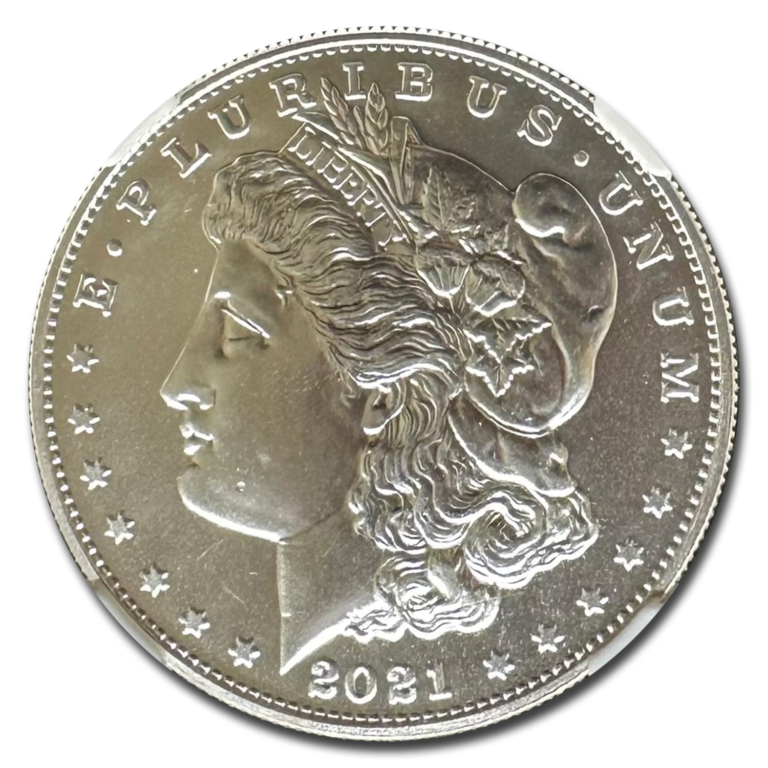 Silver Morgan Dollar G95035
