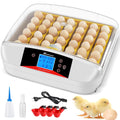 Automatic Egg Incubator with Humidity Control for Chickens F4891