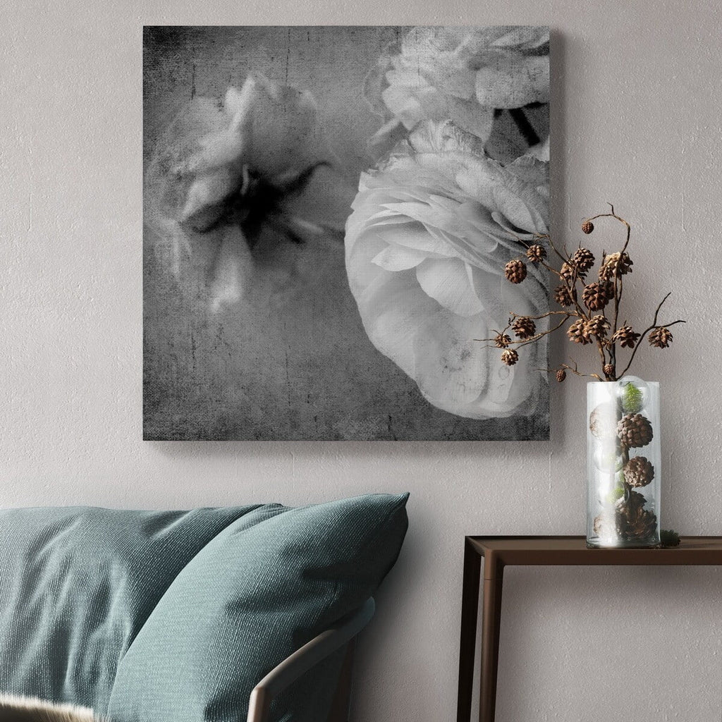 Dark Ranunculus III Gallery Wrapped Canvas 10x10 X358708