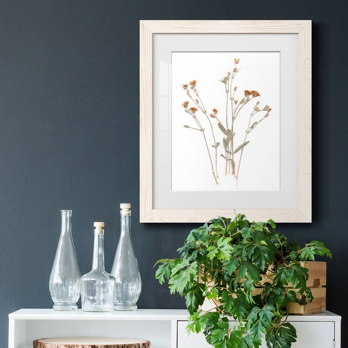 Pressed Botanical Framed Print - 27.5X37.5 - Grey Z32411