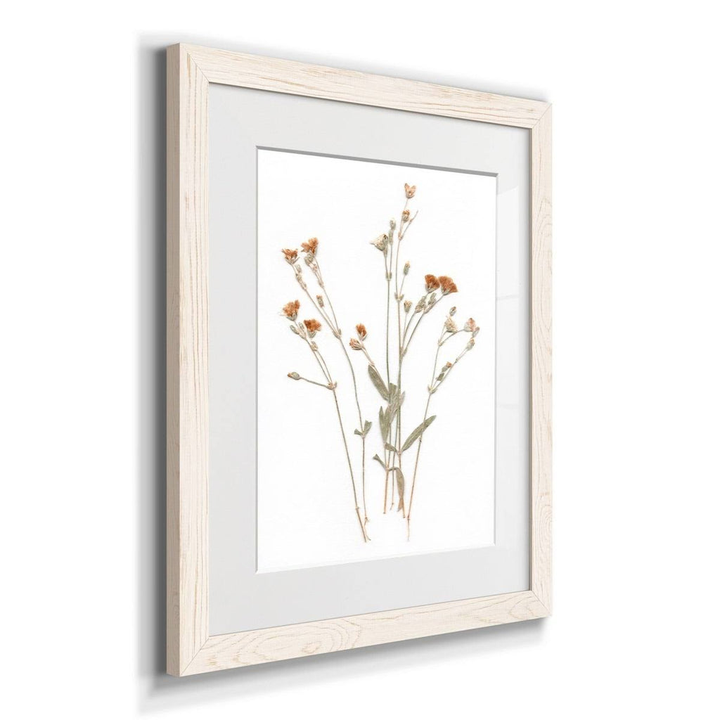 Pressed Botanical Framed Print - 27.5X37.5 - Grey Z32411