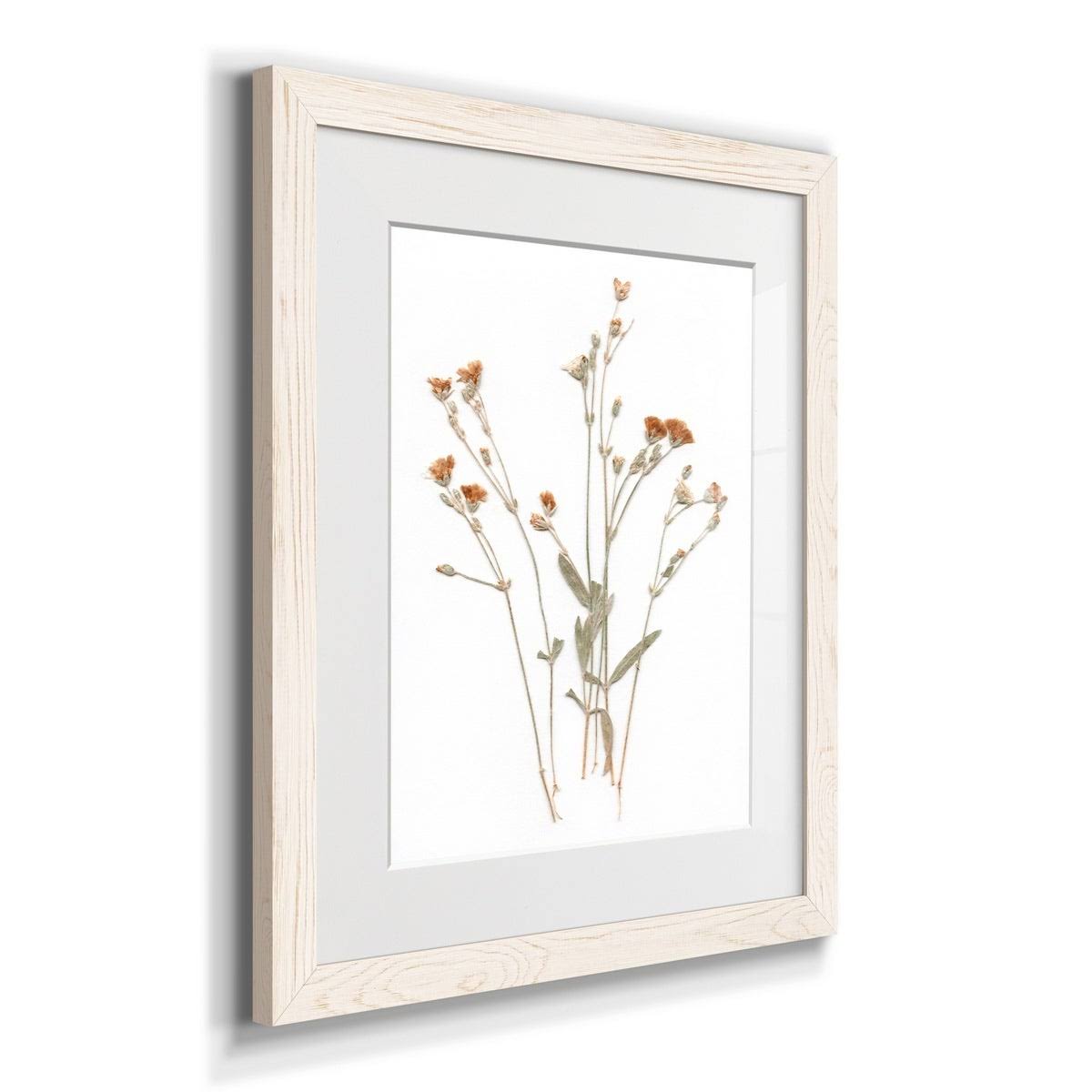 Pressed Botanical Framed Print - 27.5X37.5 - Grey Z32411
