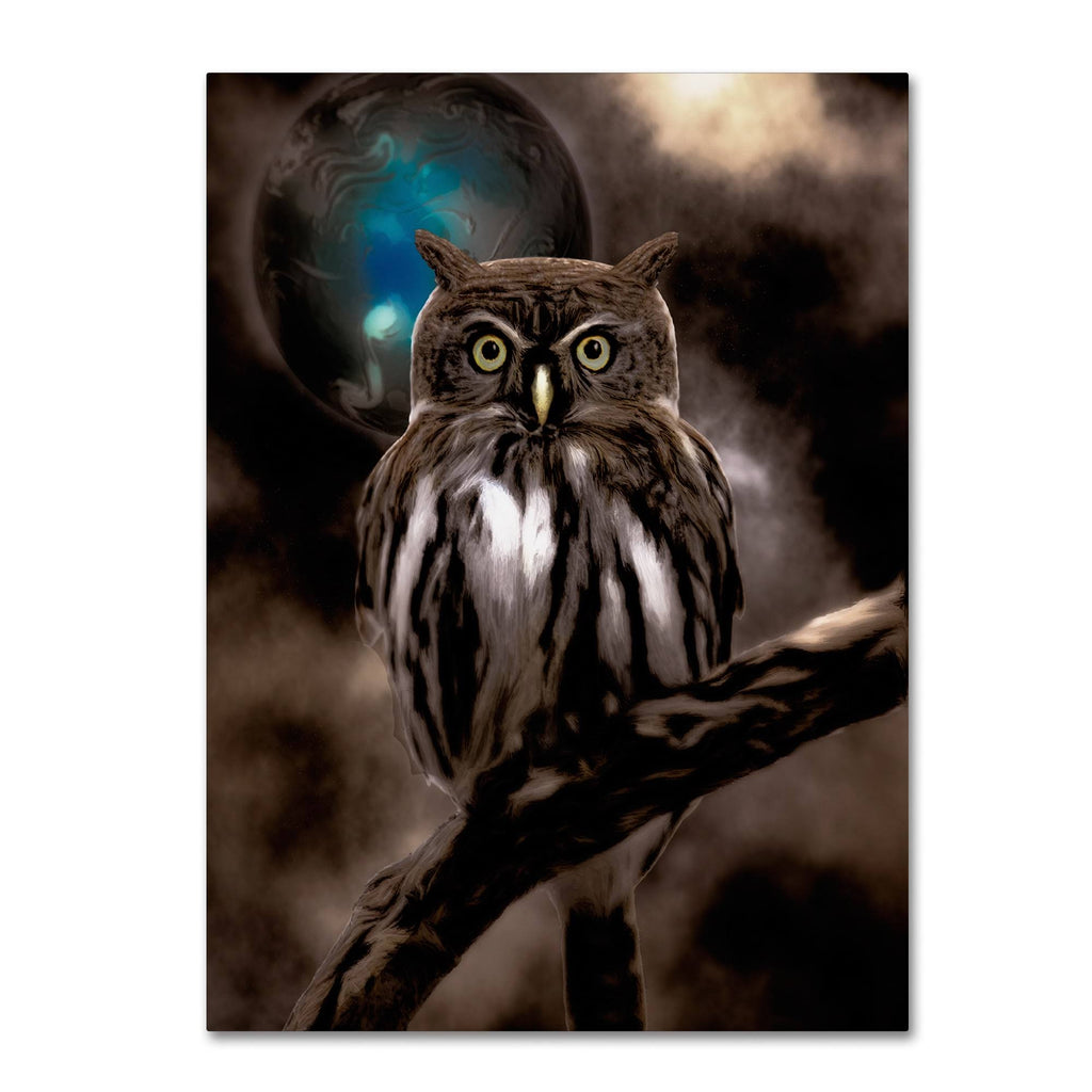 Night Owl Canvas Art I932570