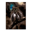 Night Owl Canvas Art I932570