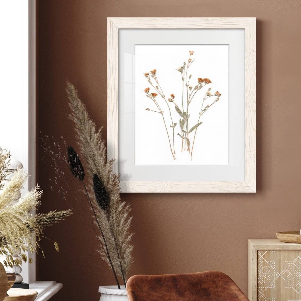 Pressed Botanical Framed Print - 27.5X37.5 - Grey Z32411