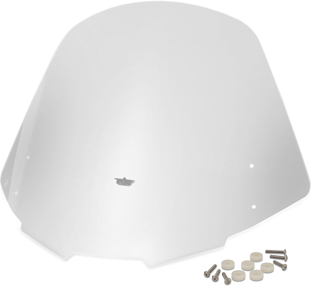 Clear Windshield P743393
