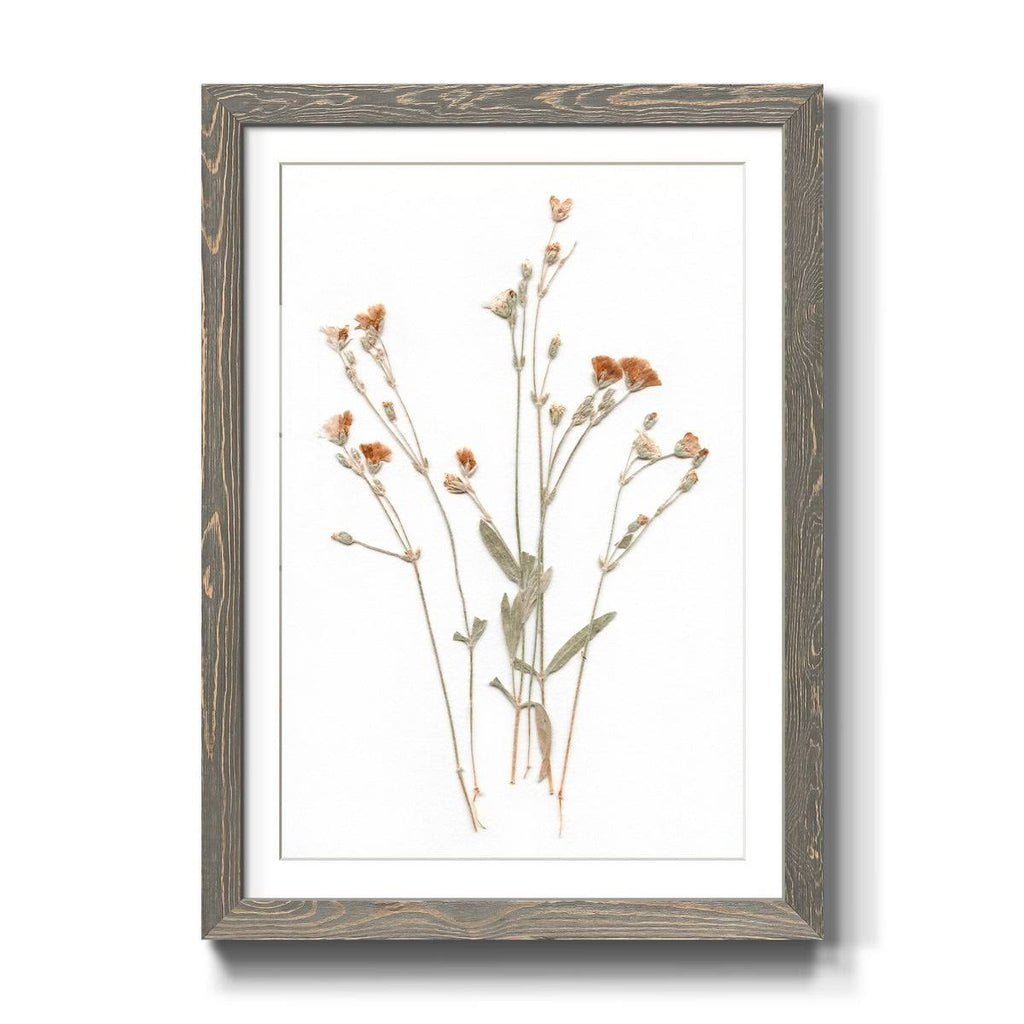 Pressed Botanical Framed Print - 27.5X37.5 - Grey Z32411