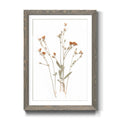 Pressed Botanical Framed Print - 27.5X37.5 - Grey Z32411
