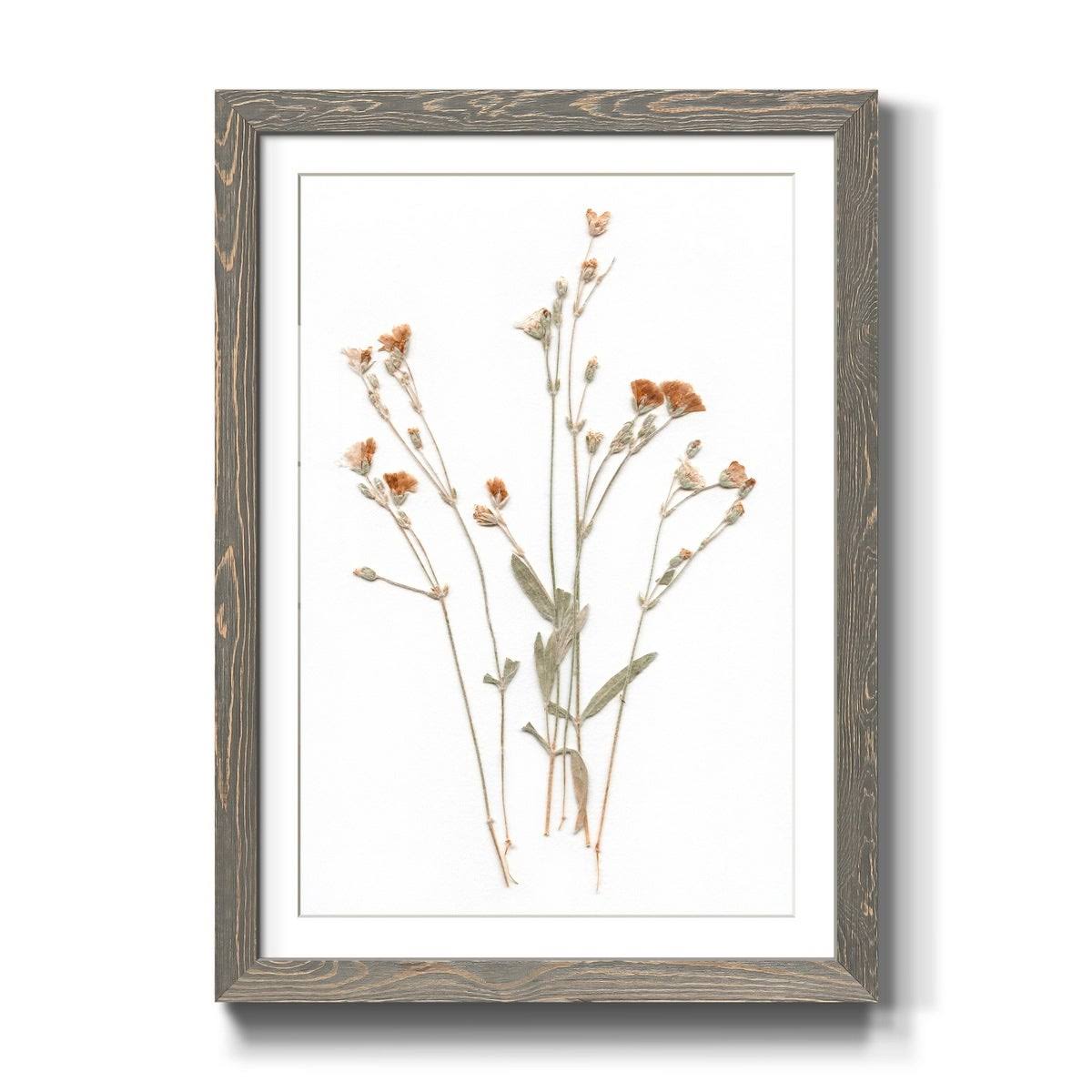 Pressed Botanical Framed Print - 27.5X37.5 - Grey Z32411