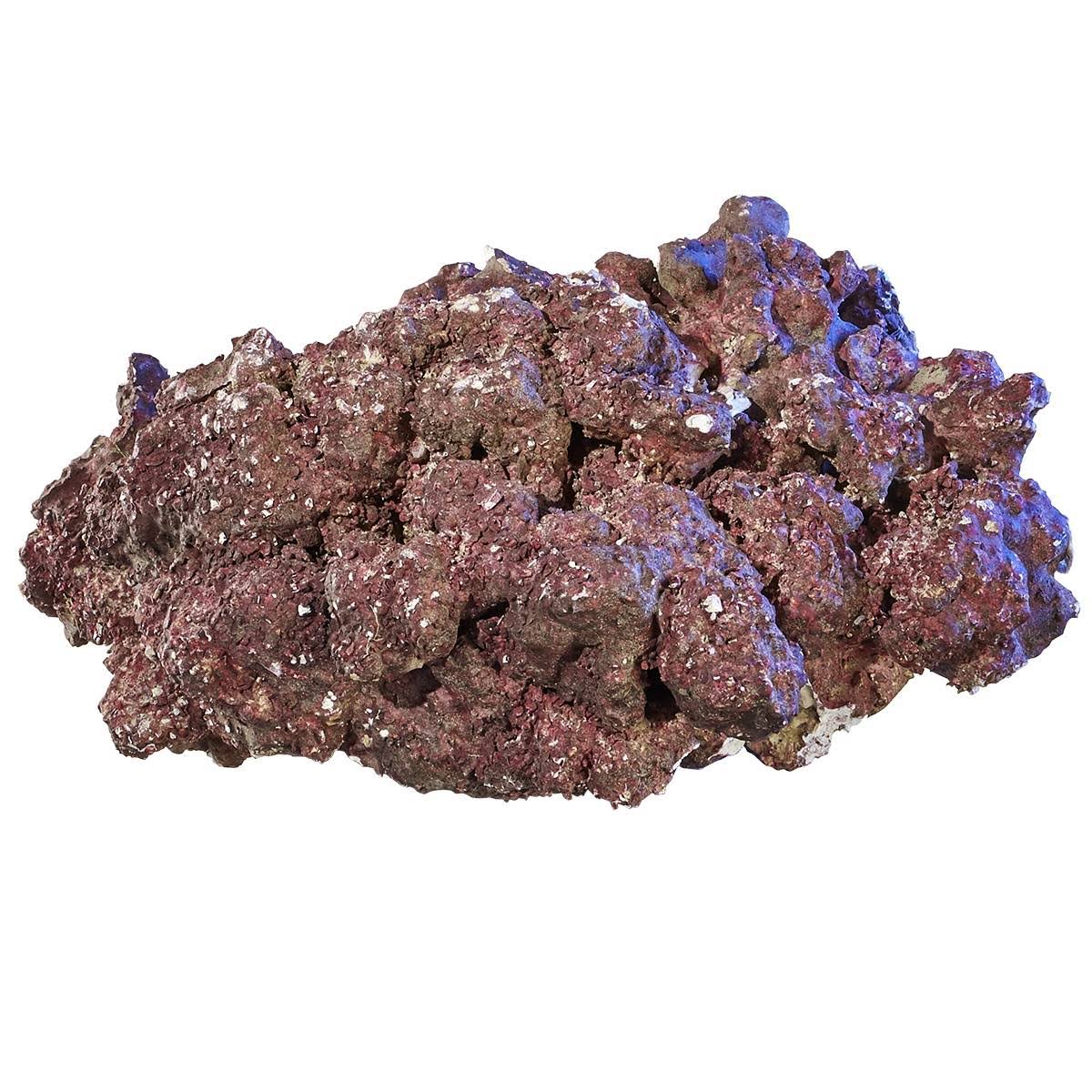 Real Reef Rock - Nano U922499