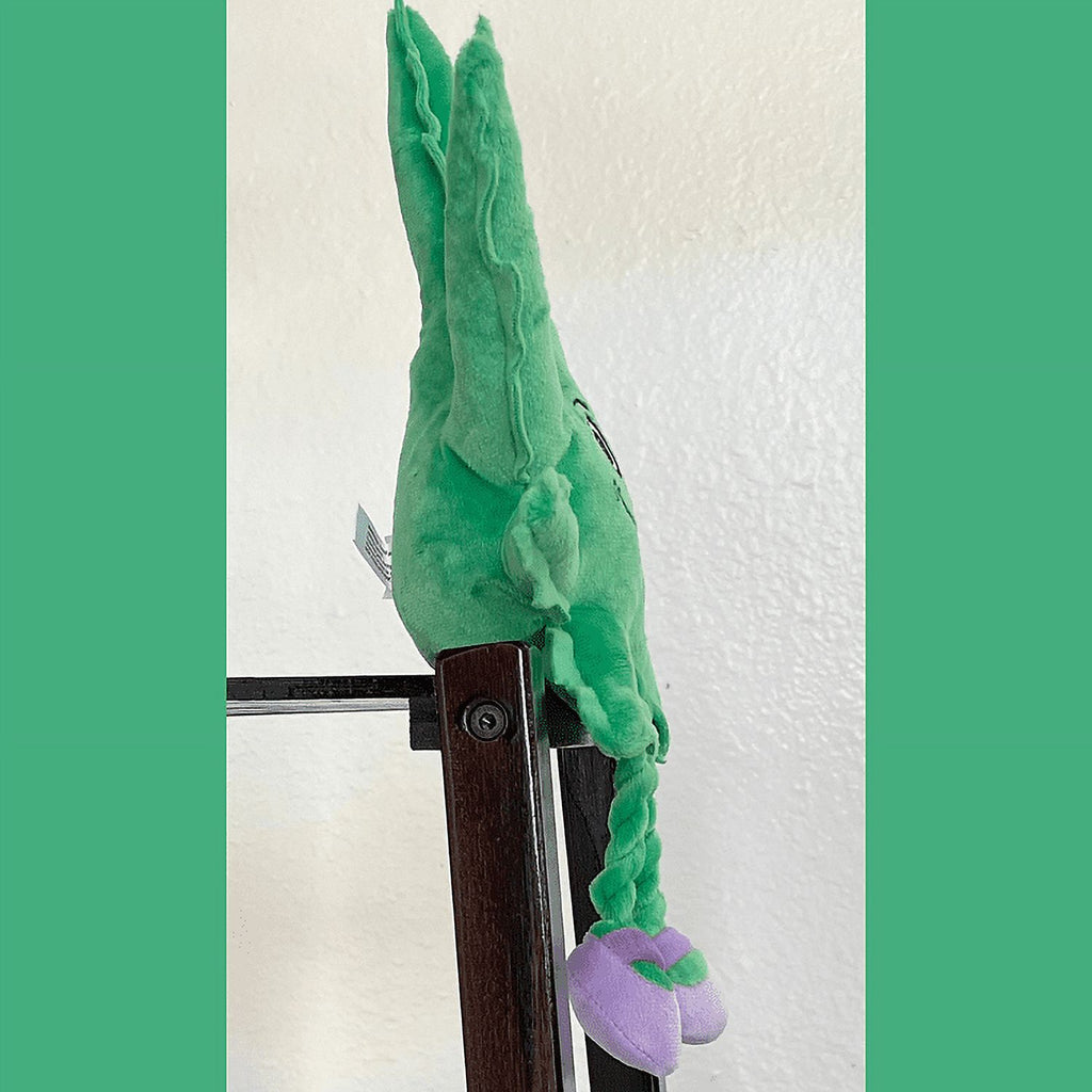 Plush Squeaky Dog Toy U765