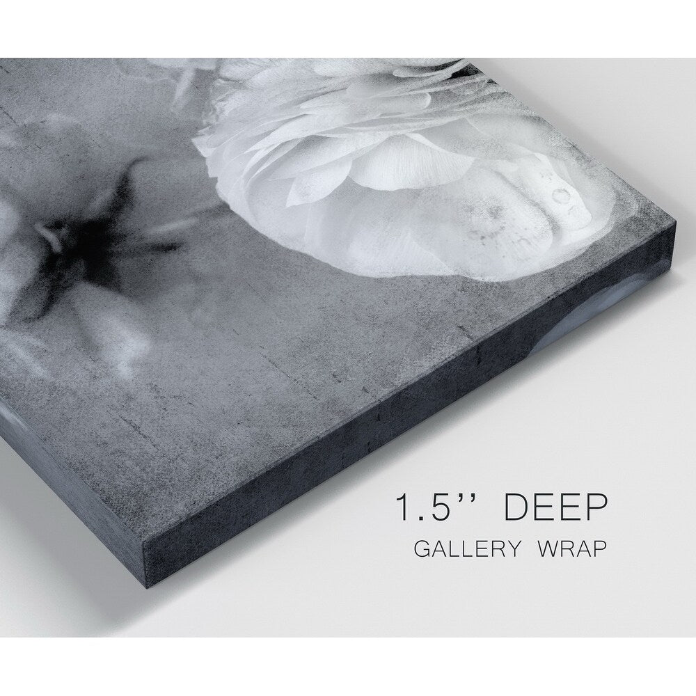 Dark Ranunculus III Gallery Wrapped Canvas 10x10 X358708