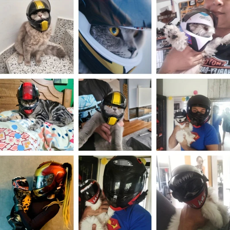 Small Pet Motorcycle Helmet Cat Mini Helmets O674