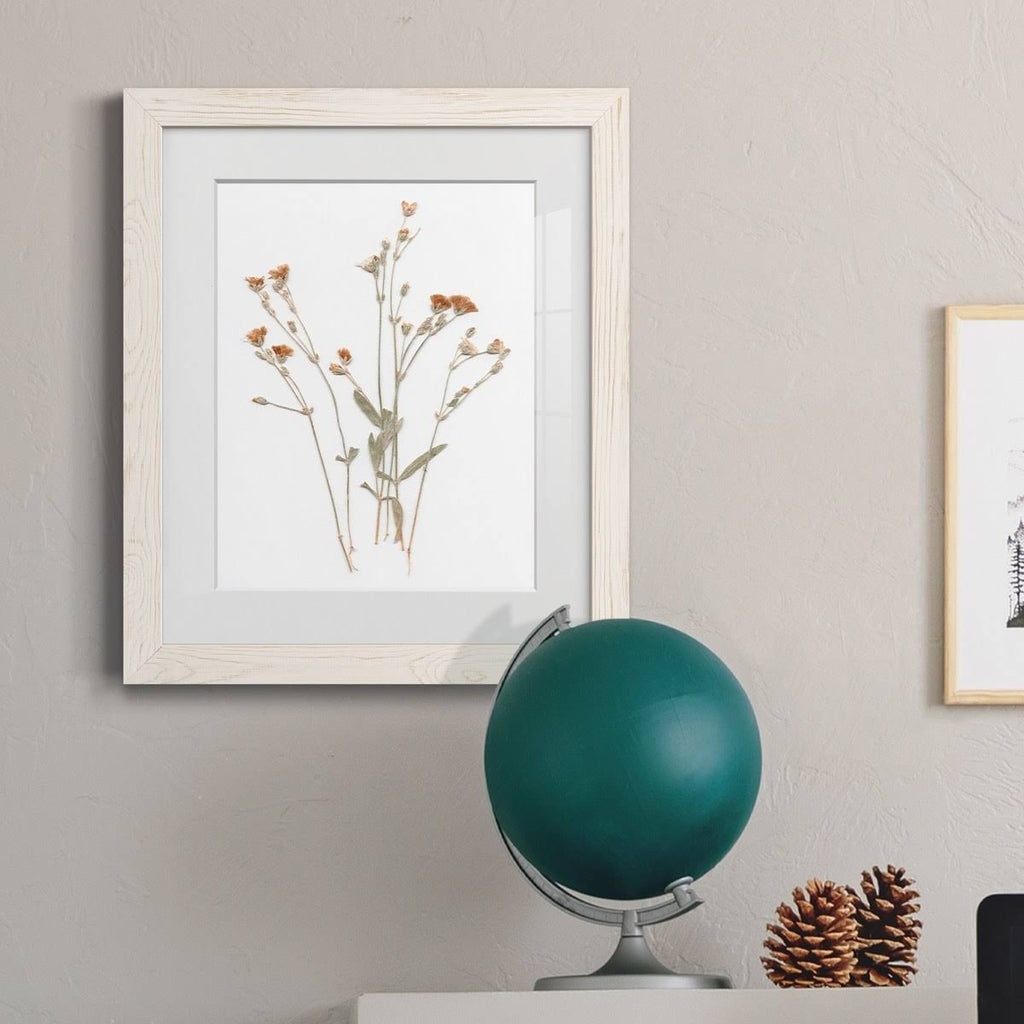 Pressed Botanical Framed Print - 27.5X37.5 - Grey Z32411