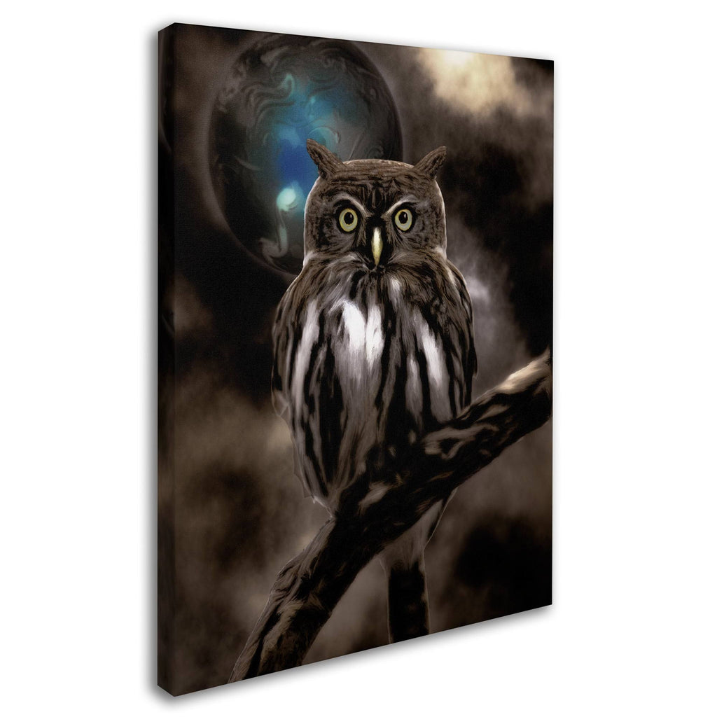 Night Owl Canvas Art I932570