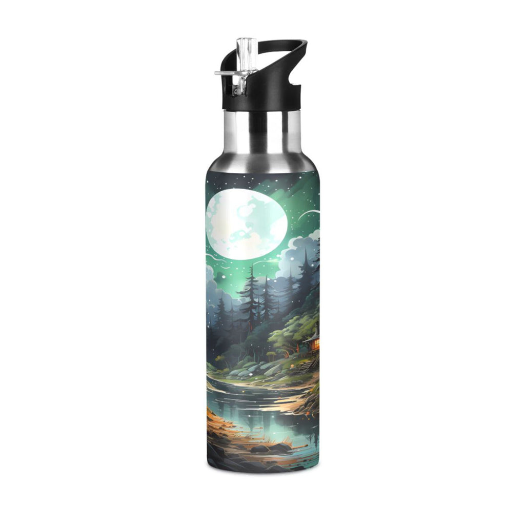 Stainless Steel Insulated Water Bottle with Straw Lid D41393